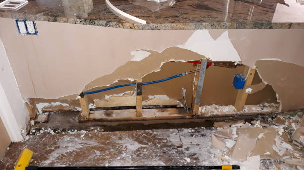 Best Water damage restoration company  in Park Ridge, NJ