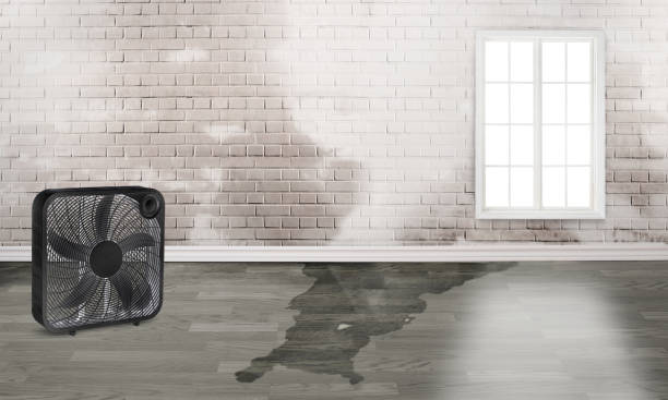 Best Residential water damage restoration  in Park Ridge, NJ