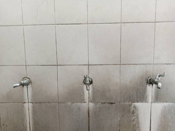 Best Flood restoration services  in Park Ridge, NJ
