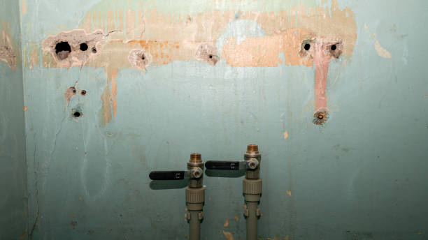 Best Local water damage restoration  in Park Ridge, NJ