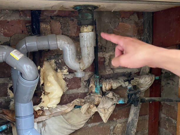 Best Flood damage cleanup  in Park Ridge, NJ