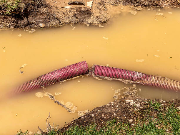 Local water damage restoration in NJ